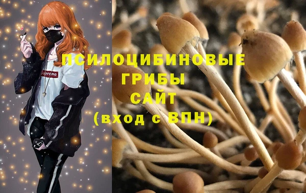 ешки Лагань